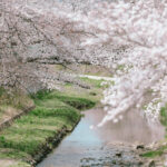 【参加募集】4/4(火)開催＊SHA.sha.PAKU vol.107「桜並木の川沿いさんぽ🌸」