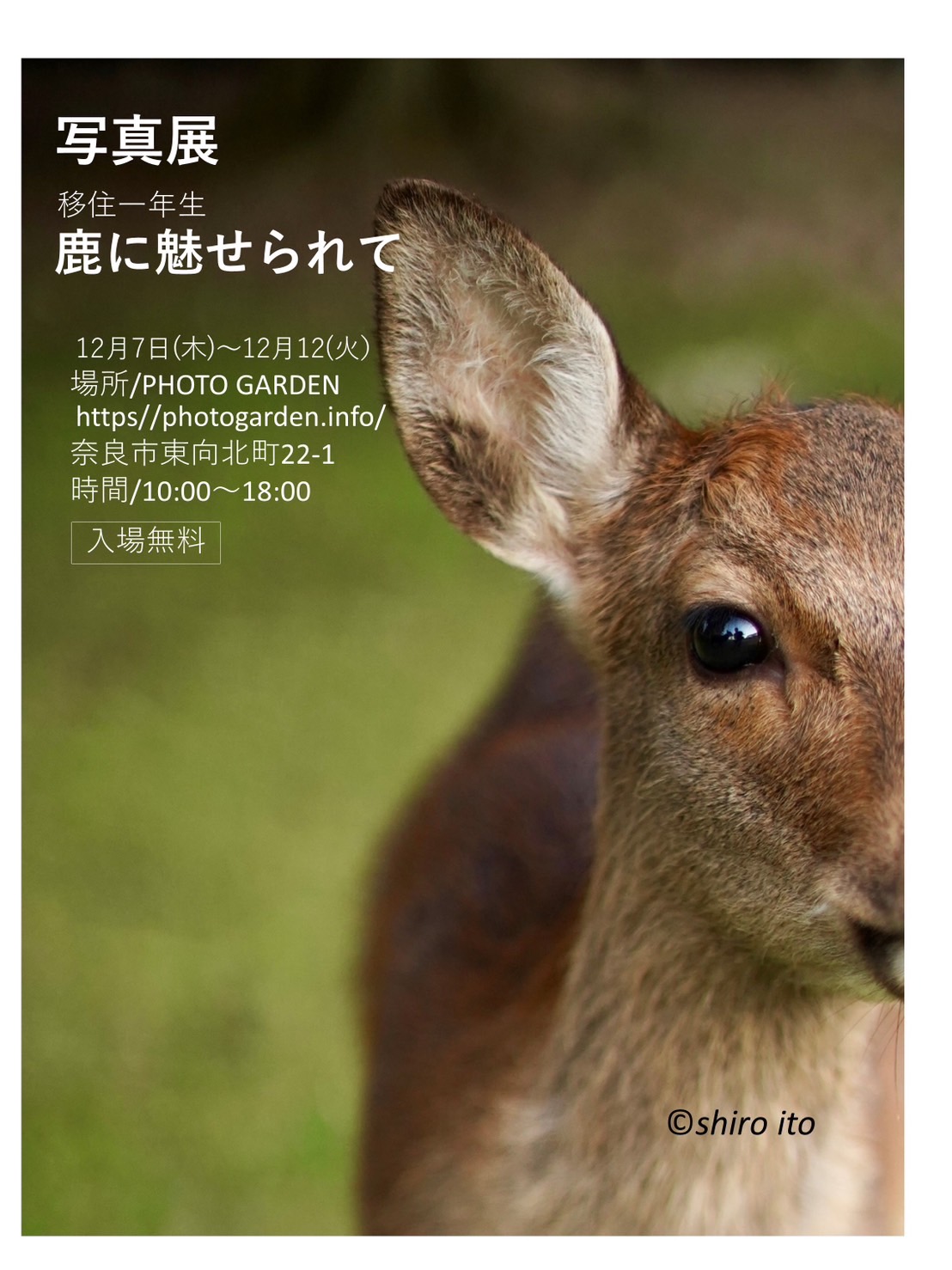 伊藤嗣郎 写真展『鹿に魅せられて』