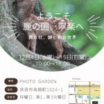 【展示予告】伊藤嗣朗写真展『ようこそ 鹿の国、寧楽へ』