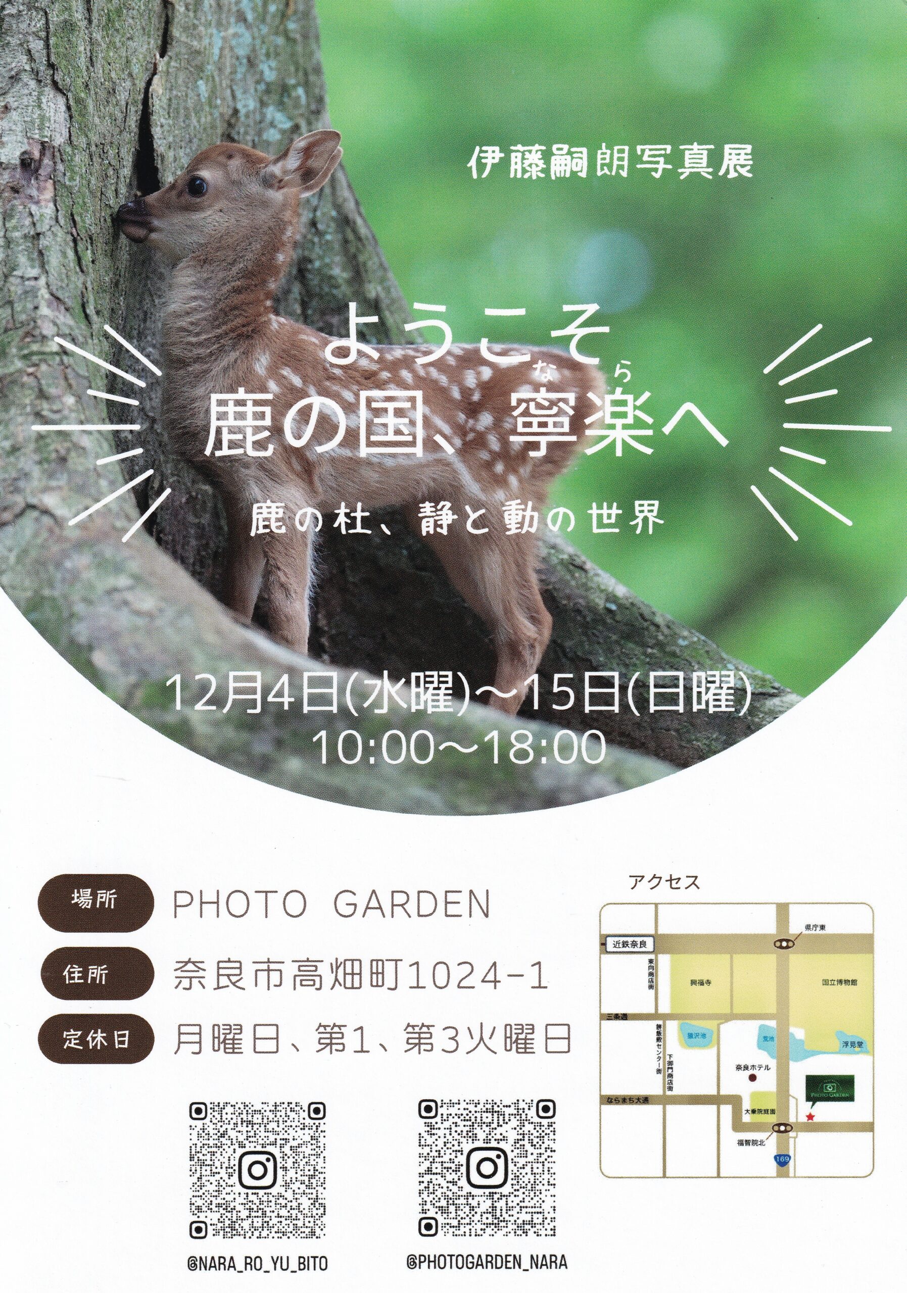 伊藤嗣朗写真展『ようこそ 鹿の国、寧楽へ』