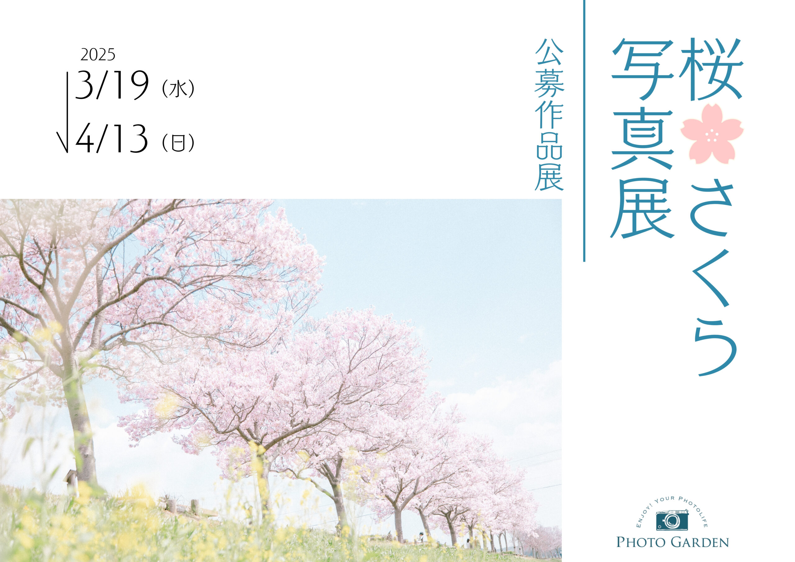 公募展「桜🌸さくら写真展」