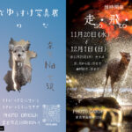 はしもとゆうすけ写真展『 わ　の　な ／ 走・飛・闘 so to to 』