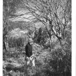 【開催予告】久保田 秀典 写真展『月と馬鈴薯』