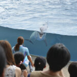 【参加募集】7/19(土)・9/6(土)開催＊林 直先生のスナップレッスン♪ 水族館編
