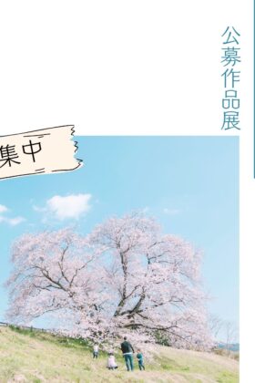 【作品募集】公募展『桜🌸さくら』2026